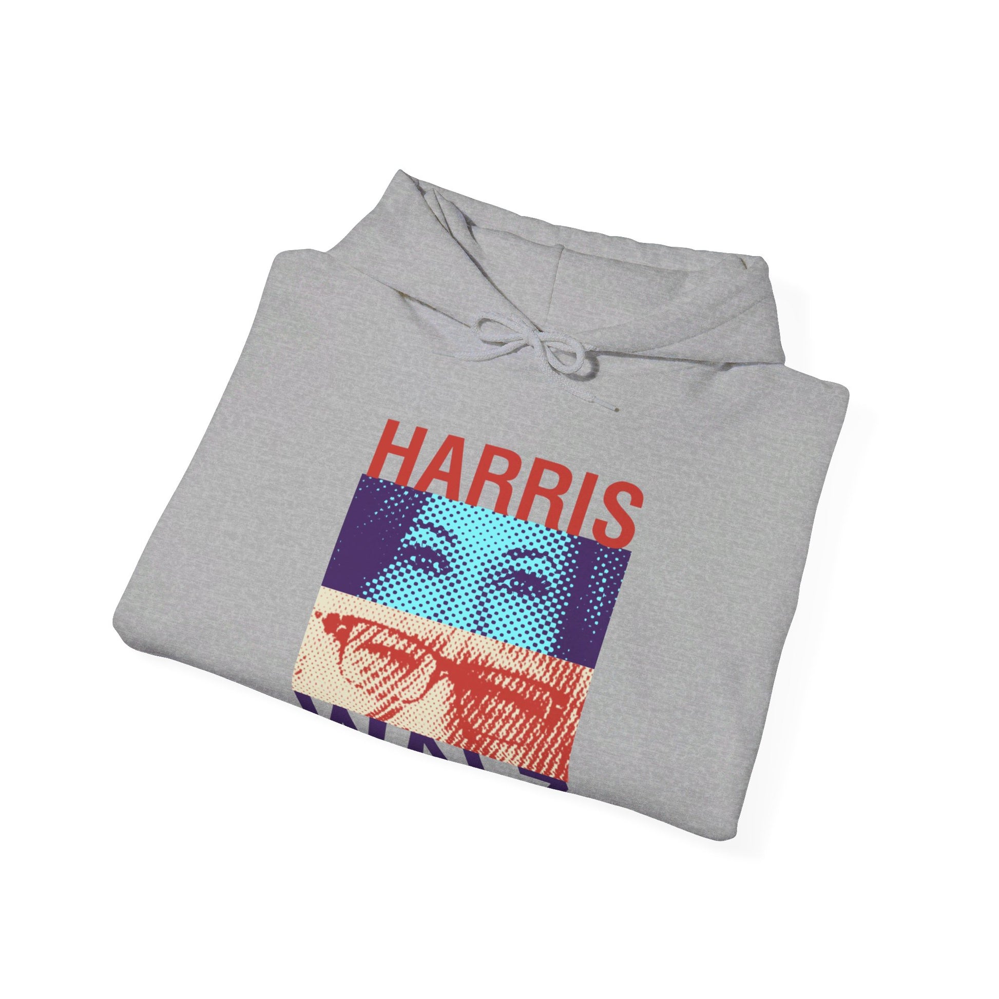 Harris Walz 2024 Unisex Heavy Blend™ Hooded Sweatshirt Hoodie